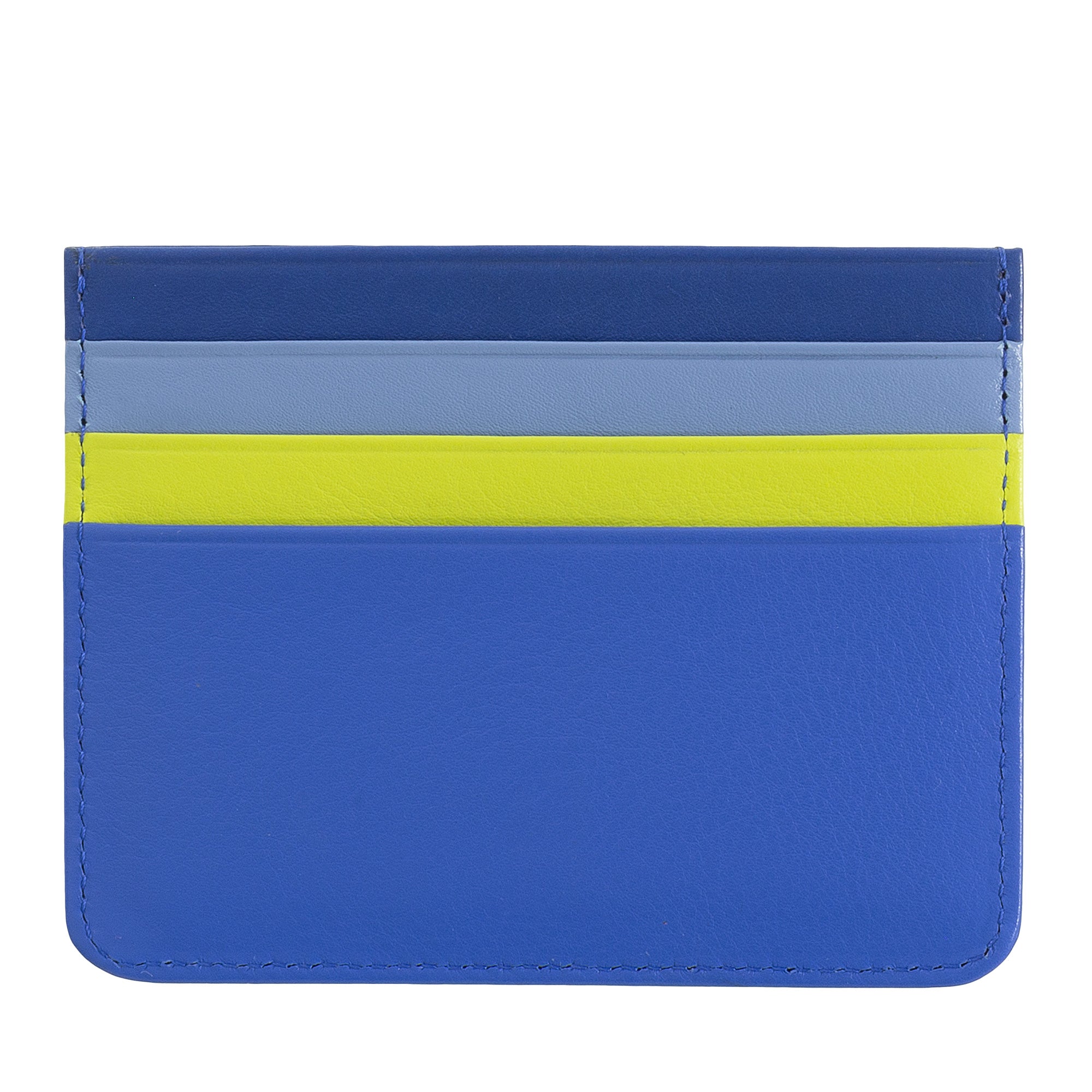 DuDu Colorful Svalbard Card Holder - Artisia Store